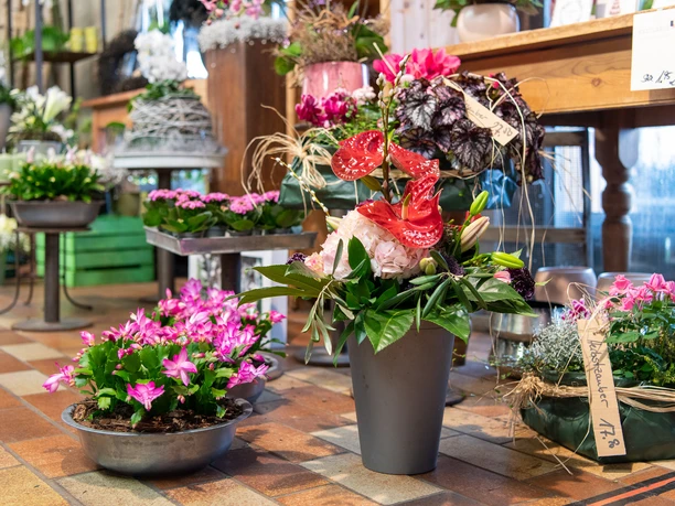 Mock-2.jpg Blumensträuße und Pflanzschalen