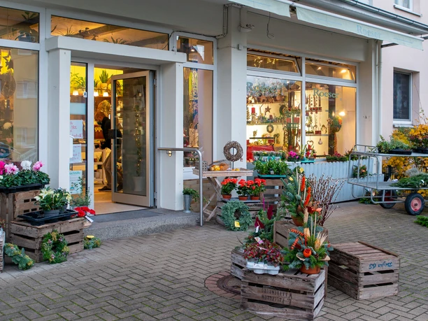 Schaufenster von Roeser