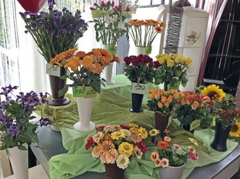 Vasen mit Schnittblumen