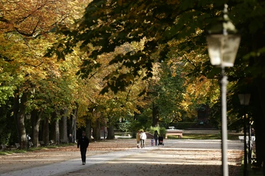 276HR - Bad Homburg - Kurpark Brunnenallee Herbst.JPG