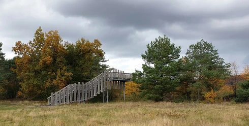 Dünensilhouette Bildrecht Joachim Biere (002).jpg Holzplattform im Herbstwald, umgeben von Bäumen, mit Wolken am Himmel, in sandiger Dünenlandschaft.