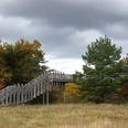 Dünensilhouette Bildrecht Joachim Biere (002).jpg Holzplattform im Herbstwald, umgeben von Bäumen, mit Wolken am Himmel, in sandiger Dünenlandschaft.