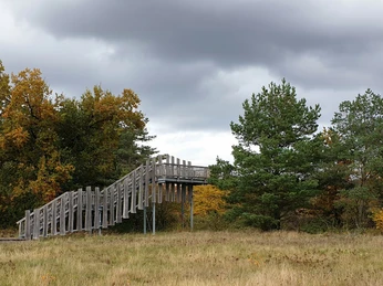 Dünensilhouette Bildrecht Joachim Biere (002).jpg Holzplattform im Herbstwald, umgeben von Bäumen, mit Wolken am Himmel, in sandiger Dünenlandschaft.