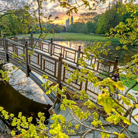 Spojrzenie na drewniany most w wiosennym Johannaparku, w tle wieżowiec City i Nowy Ratusz, Zielony Lipsk, park w Lipsku, czas wolny
