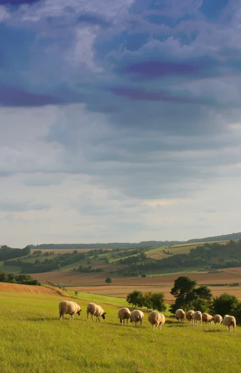 Aussicht - NaturTour Nidda