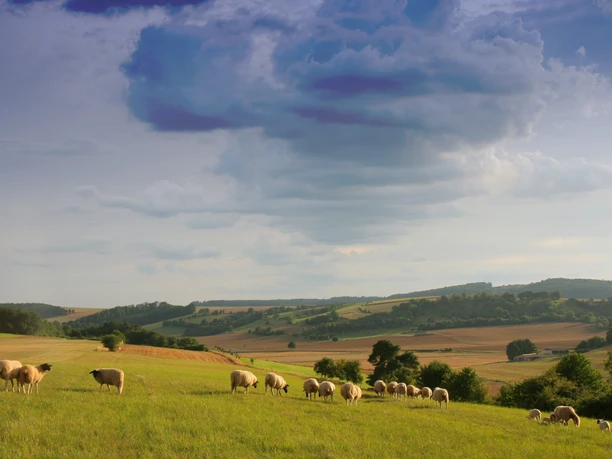 Aussicht - NaturTour Nidda