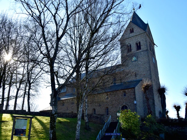 Basilika im Gegenlicht Alte Steinkirche mit Uhrturm und Bäumen im Vordergrund bei sonnigem Wetter von Außenansicht.