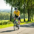 Rennrad Ein Radfahrer in gelbem Trikot fährt auf einer sonnigen, von Bäumen gesäumten Landstraße.