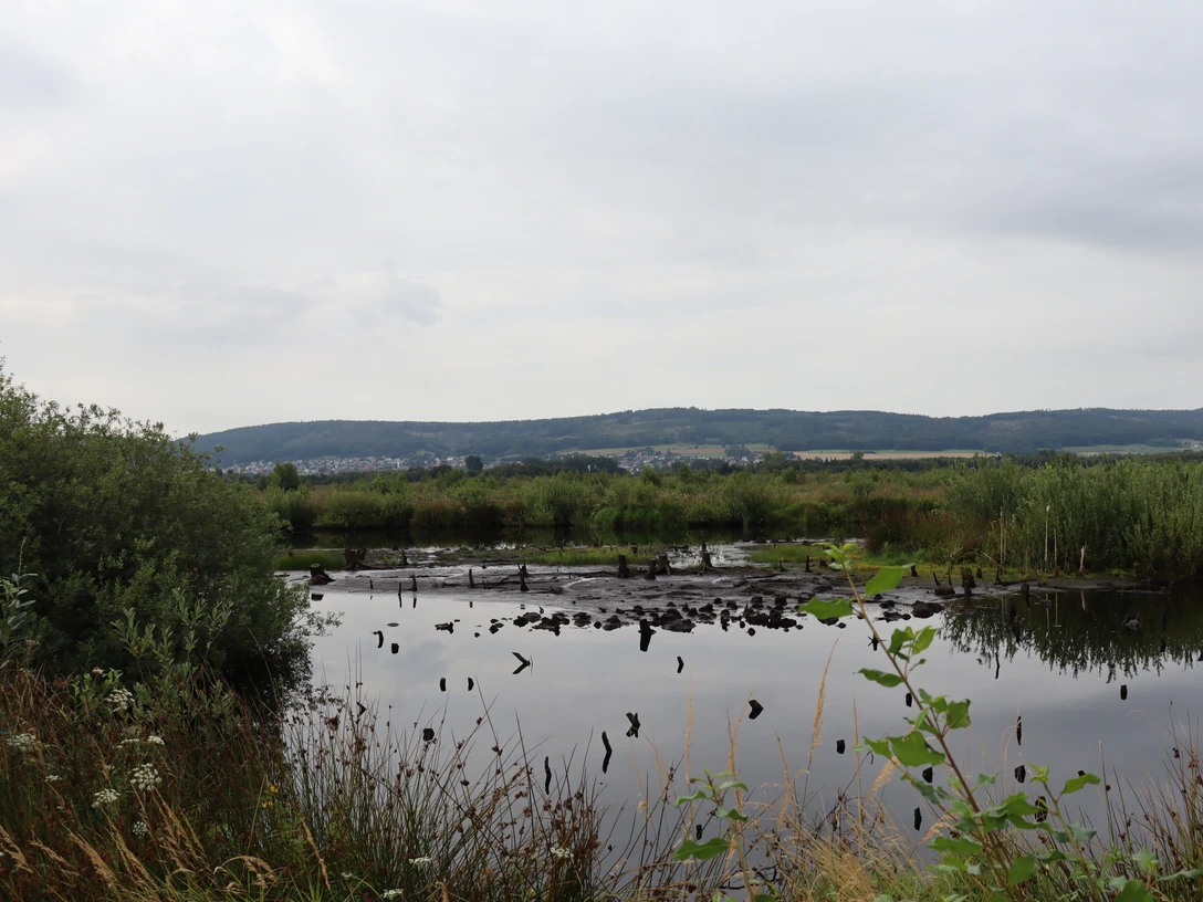 Großes Torfmoor Das Bild zeigt ein ruhiges, weitläufiges Moor mit spiegelndem Wasser, umgeben von dichter Vegetation und einer sanften Hügelkette im Hintergrund.