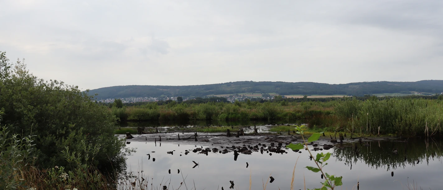 Großes Torfmoor Das Bild zeigt ein ruhiges, weitläufiges Moor mit spiegelndem Wasser, umgeben von dichter Vegetation und einer sanften Hügelkette im Hintergrund.