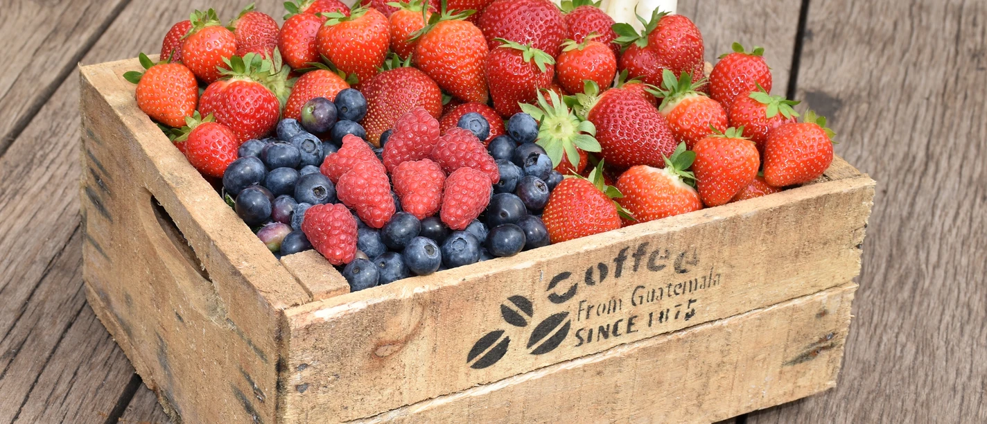 Spargelhof Winkelmann Eine Holzkiste auf Holzboden gefüllt mit frischem Obst und weißem Spargel, darunter Erdbeeren, Himbeeren und Blaubeeren.