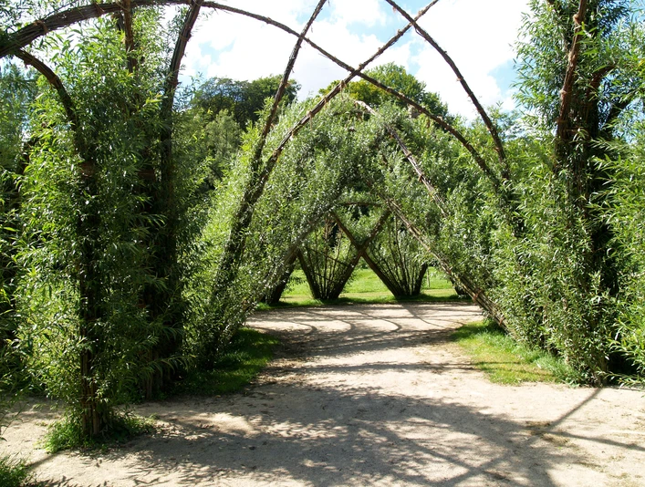 Ein kunstvoll gewölbtes Bauwerk aus geflochtenen Weiden, umgeben von üppigem Grün im offenen Freiraum.
