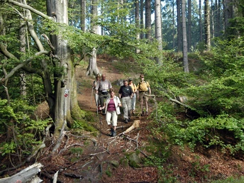 Sintfeld Höhenweg | Wanderer unterwegs