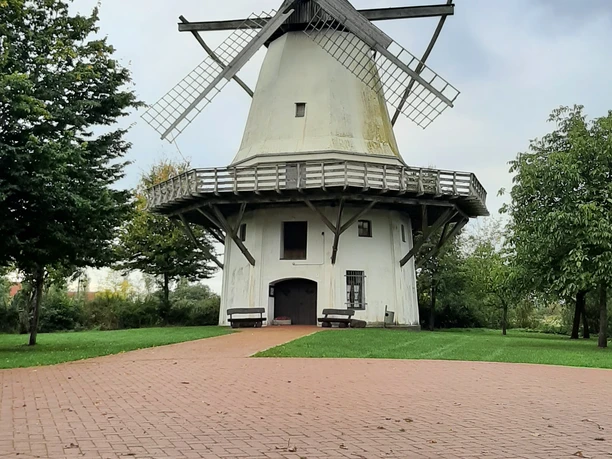 Tonnenheide_3.jpg Eine historische Windmühle mit vier großen Flügeln steht vor einem bewölkten Himmel, umgeben von Bäumen.