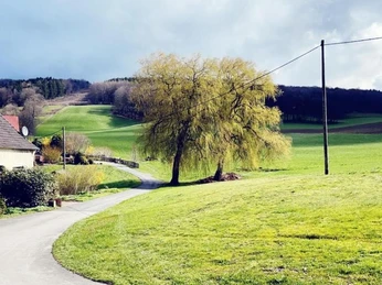 Ländliche Szenerie mit einem Weg, der an einem Bauernhaus und einem blühenden Baum vorbeiführt.