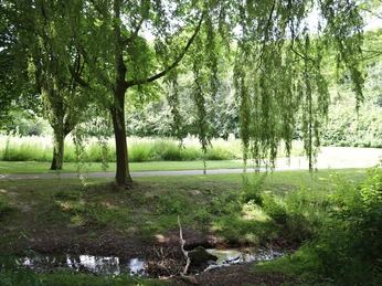 Kurpark Rothenuffeln Sanft schattige Weidenbäume hängen über einem kleinen Bach, der durch eine grüne Parklandschaft fließt.