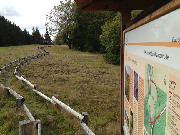 Bleikuhlen | Lichtenau-Blankenrode Bleikuhlen | Lichtenau-Blankenrode