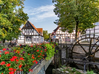 Fachwerkhäuser mit roten Dächern umgeben eine historische Wassermühle, eingerahmt von bunten Blumen.