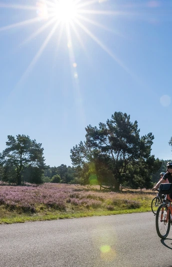 Radfahren im Paderborner Land | Senne bei Hövelhof