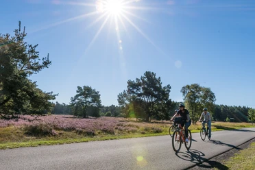 Radfahren im Paderborner Land | Senne bei Hövelhof Radfahren im Paderborner Land | Senne bei Hövelhof