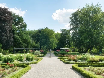 Rosengarten im Flora-Westfalica-Park Ein gepflegter Parkweg, umgeben von blühenden Rosensträuchern und schattigen Bäumen an einem sonnigen Tag.