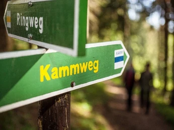 Auf dem Kammweg Erzgebirge-Vogtland Grüner Wegweiser mit gelber Aufschrift zum Kammweg im waldigen Erzgebirge.Green signpost with yellow lettering for the ridge trail in the wooded Ore Mountains.Zelený rozcestník se žlutým nápisem na hřebenovou trasu v zalesněných Krušných horách.Zielony drogowskaz z żółtym napisem do szlaku grzbietowego w zalesionych Rudawach.Groene wegwijzer met gele letters naar het bergkampad in het beboste Ertsgebergte.Cartello verde con scritte gialle per il sentiero di cresta nei boscosi Monti Metalliferi.