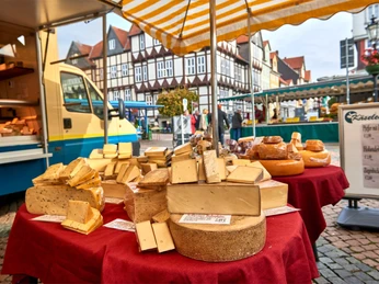 Wochenmarkt in Wolfenbüttel Käsestand auf dem Wochenmarkt