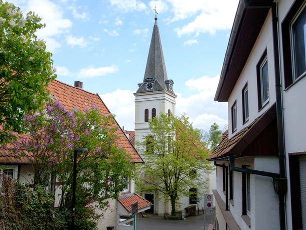 Kirchturm von St. Johannis ragt zwischen rot gedeckten Dächern empor, umgeben von blühenden Bäumen.