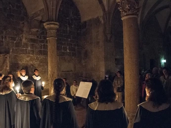 Nacht der offenen Pforte 2019_Archivfoto © Günter Jentsch.jpg