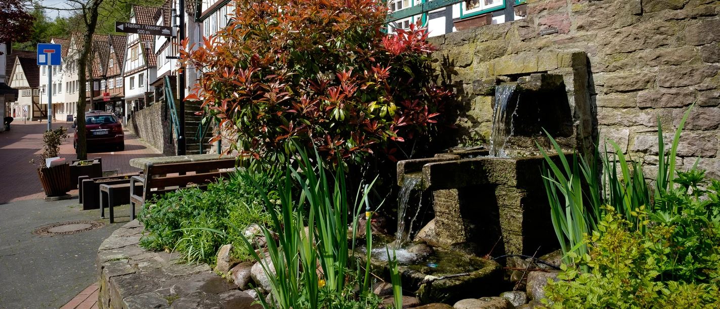 Fachwerkhäuser in ruhiger Straße, blühende Hecken und ein kleiner Brunnen verleihen der Szene Lebendigkeit.
