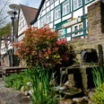 Brink Fachwerkhäuser in ruhiger Straße, blühende Hecken und ein kleiner Brunnen verleihen der Szene Lebendigkeit.