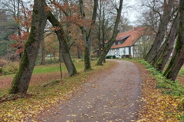 Op zoek naar aanwijzingen in de Heidmark - Tour 5 rond Schweimke