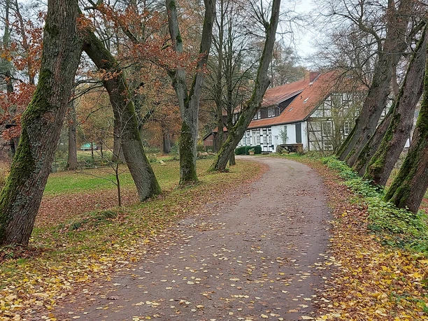 Op zoek naar aanwijzingen in de Heidmark - Tour 5 rond Schweimke
