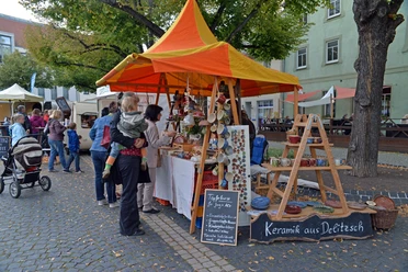 (C) SV Delitzsch/Christian Maurer