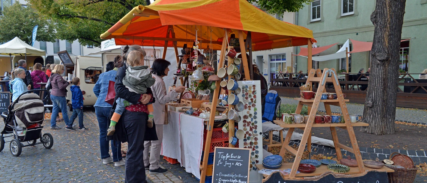 (C) SV Delitzsch/Christian Maurer