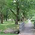 Grüner Park mit Bäumen, Wiesen und einem Fußweg, der über eine kleine Holzbrücke führt.