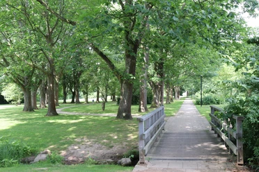 Kurpark Rothenuffeln, Hille Grüner Park mit Bäumen, Wiesen und einem Fußweg, der über eine kleine Holzbrücke führt.