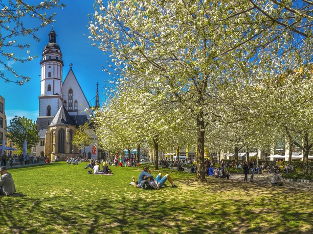 Wiese vor der Thomaskirche Leipzig - Erlebnisse und Touren in Leipzig