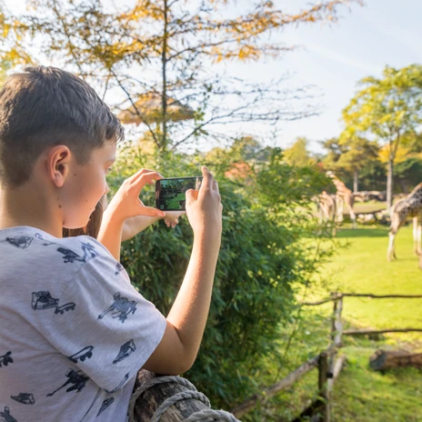 Zoo Leipzig mit Blick auf das Giraffengehege