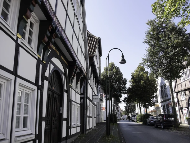 Eine malerische Fachwerkstraße mit historischen Gebäuden und Bäumen unter blauem Himmel.