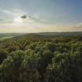 Blick auf den Teutoburger Wald Weitläufige Waldlandschaft des Teutoburger Waldes unter einem klaren blauen Himmel mit vereinzelten Wolken.