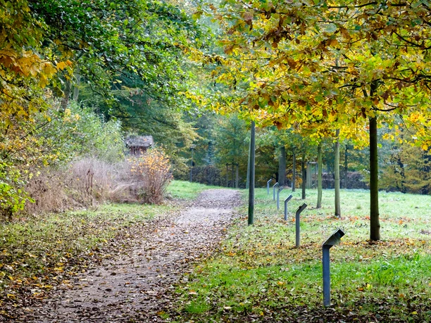Am linken Rand Fußweg durch den Kurpark, rechts sind die Bäume der Jubiläumsallee