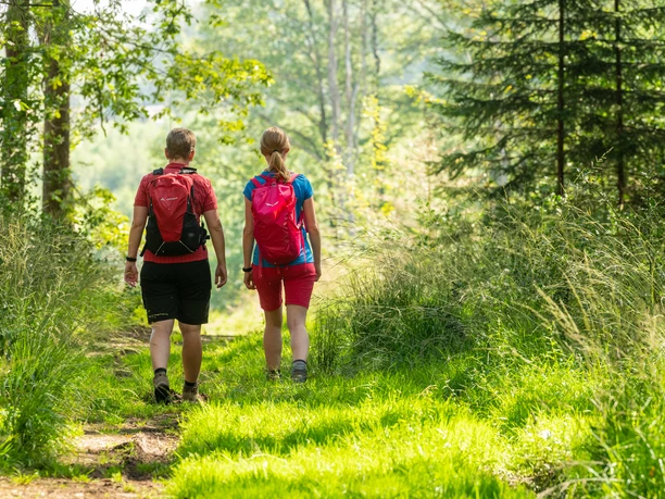 Wandern Heckberg Zwei Wanderer mit Rucksäcken spazieren auf einem grünen Waldweg im Sonnenlicht.