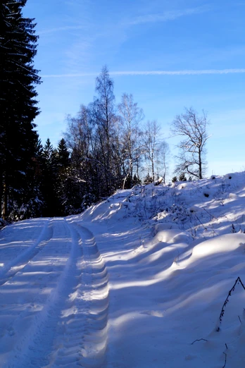 Ziel des Zuweges: Etappe 8 Bergischer Panoramasteig Schneebedeckter Waldweg bei Sonnenschein, gesäumt von hohen Bäumen und einer schneebedeckten Wegmarkierung.