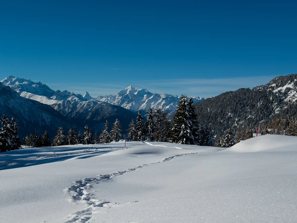 Riederalp Ferienwohnungen Bürgin