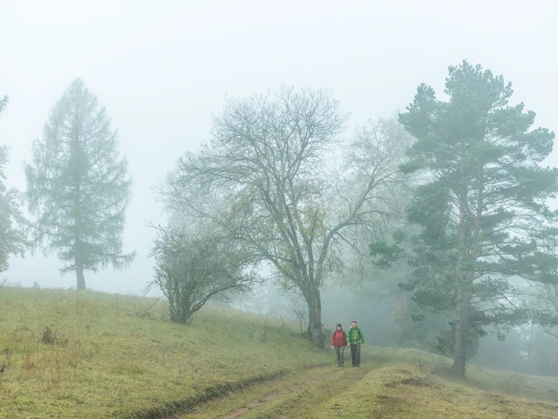 Mystische Stimmung bei Morgennebel auf dem Schneifelpfad in der Schönecker Schweiz