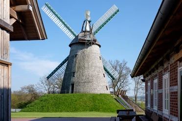 Historische Windmühle Exter mit vier Flügeln auf grünem Hügel, umgeben von Fachwerkgebäuden.