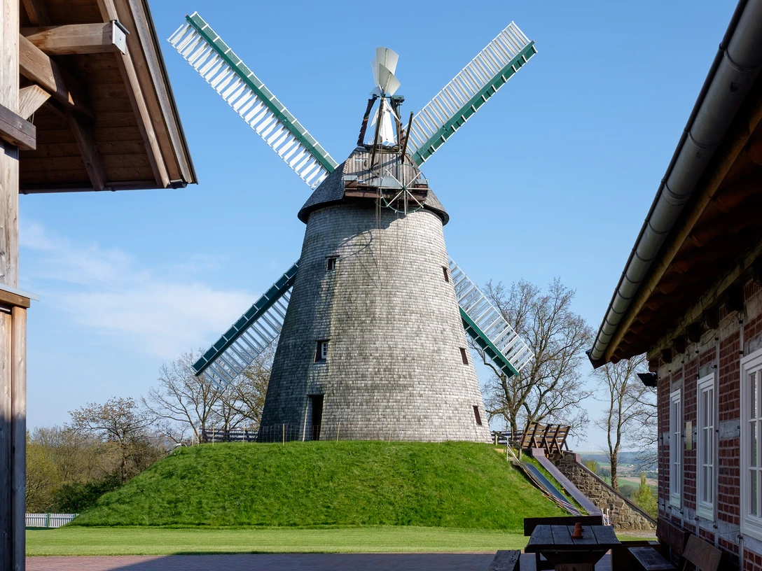 Historische Windmühle Exter mit vier Flügeln auf grünem Hügel, umgeben von Fachwerkgebäuden.
