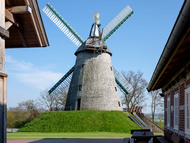 Windmühle Exter Historische Windmühle Exter mit vier Flügeln auf grünem Hügel, umgeben von Fachwerkgebäuden.