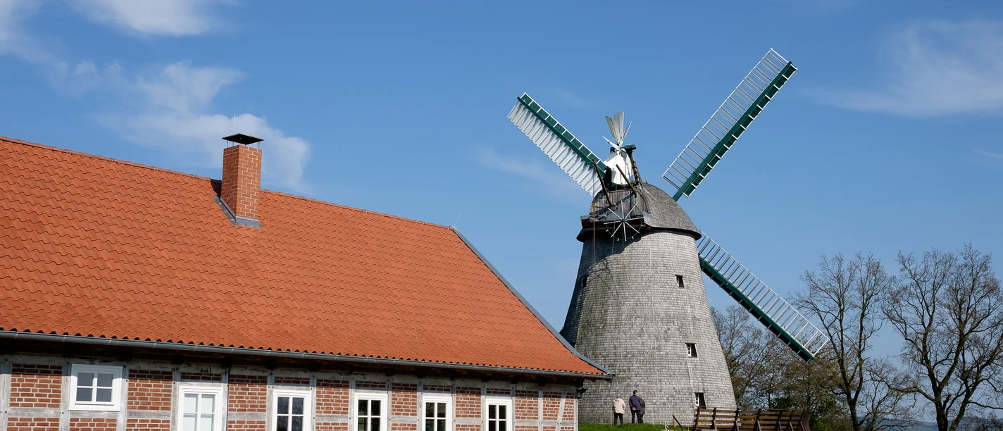 Windmühle Exter mit rotem Ziegeldachgebäude und umliegender grüner Wiese unter blauem Himmel.